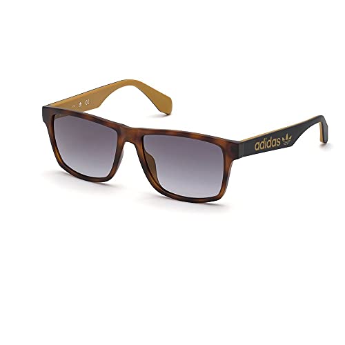 Amazon imagen 2