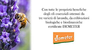 Amazon imagen 5