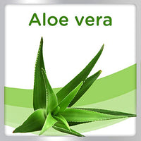 Amazon imagen 5
