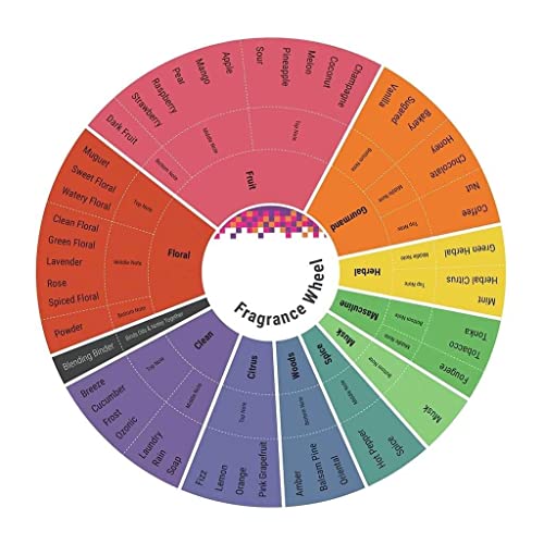 Amazon imagen 6