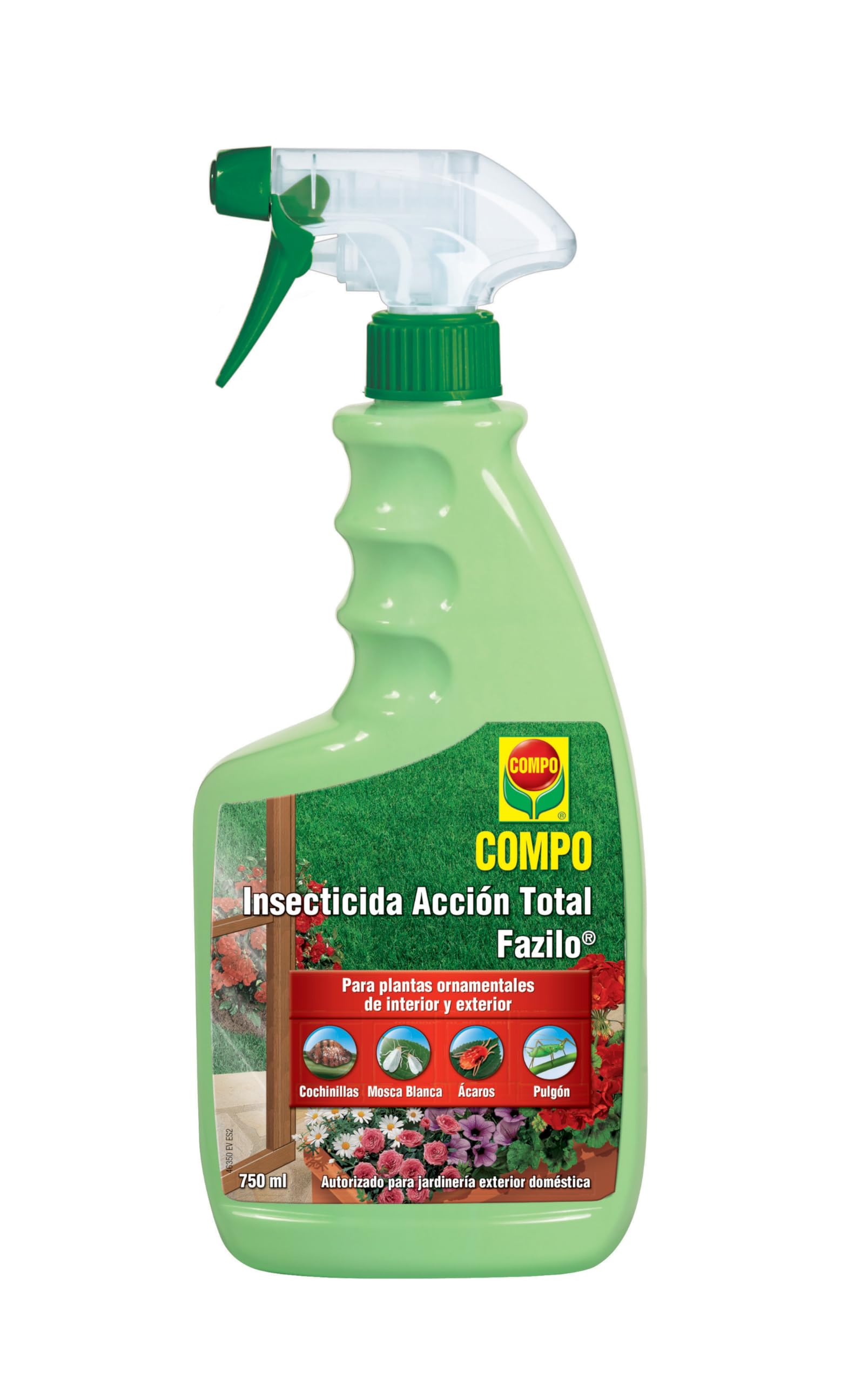 Amazon imagen 3